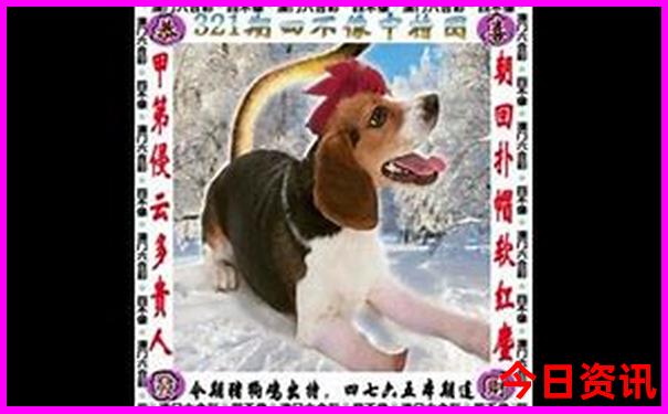 河南夏天适合去的景点